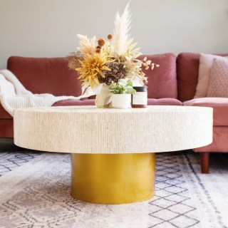 HNH 8206 mother of pearl coffee table (1)